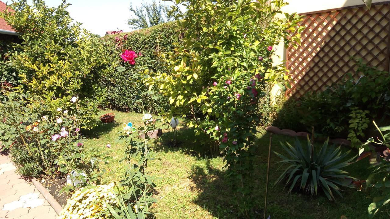 Pensiunea Magnolia Сибиу Экстерьер фото